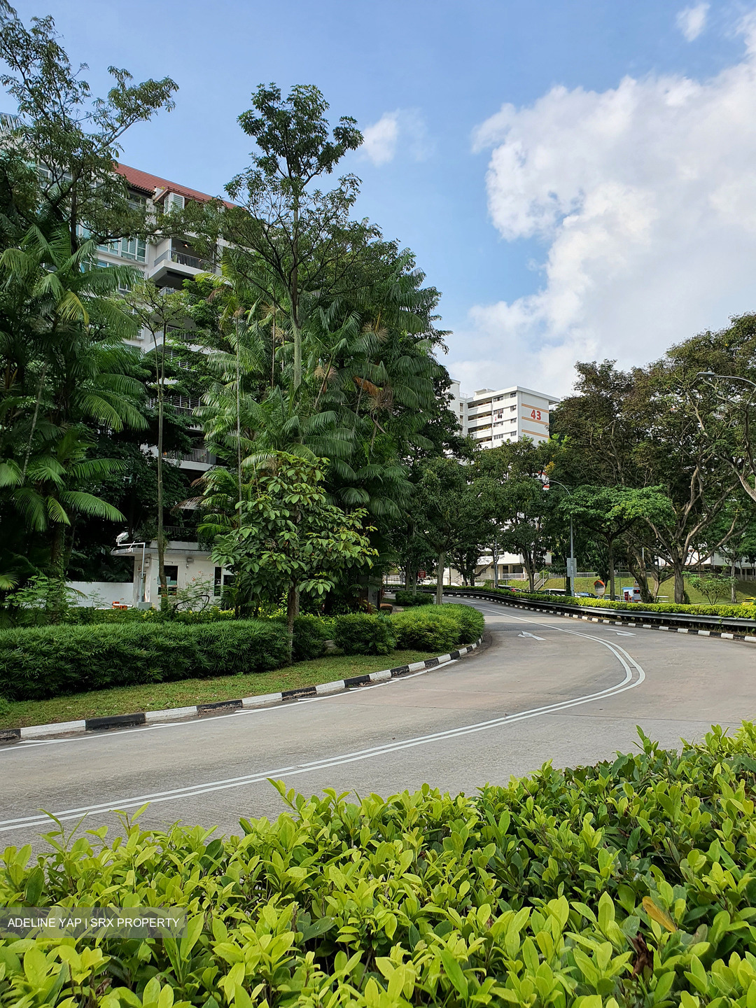 Blk 43 Telok Blangah Rise (Bukit Merah), HDB 3 Rooms #549779131